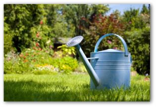 painted metal watering can in a garden
