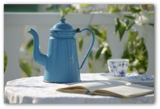 Planning a vegetable garden