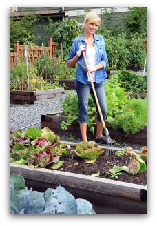 home vegetable garden plans, ideas, and worksheets