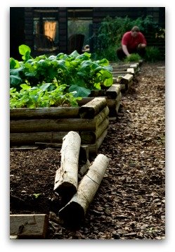 Building a Raised Bed with Posts or Poles