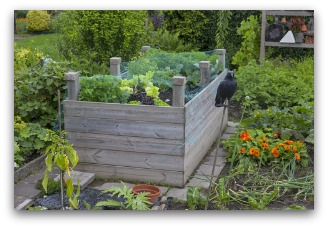 tall easy to build raised bed idea