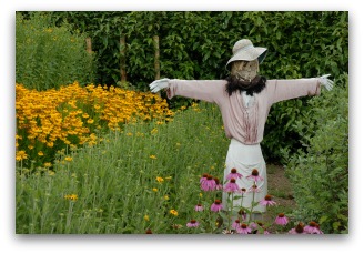 garden scarecrow ideas