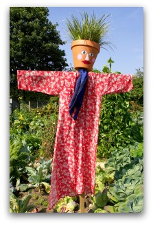 funny garden scarecrow
