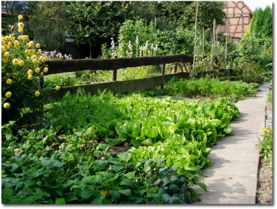 vegetagle garden fencing