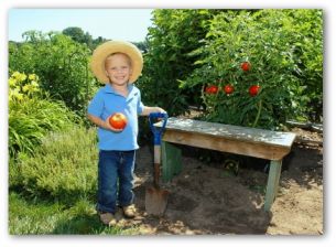 young gardener in a vegetable garden