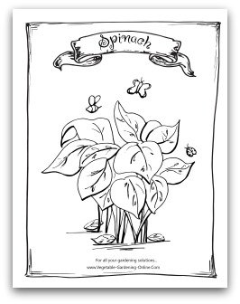 Printable Spinach Coloring Page