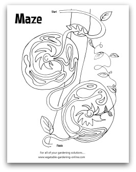 Tomato Garden Maze Printable