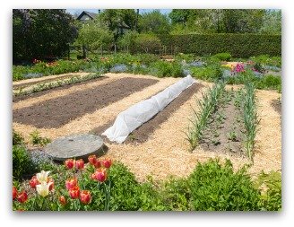 Mulching a Vegetable Garden Helps with Weeds and Water