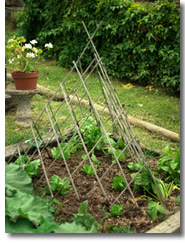 ornmental teepee trellis in a garden design