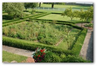 using a hedge as a vegetable garden fencing