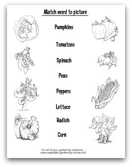 Vegetable Word Match Printable