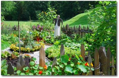 Beautiful Large Vegetable Garden