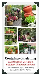 aa-container-gardening4.jpg