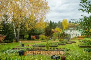 Fall Vegetable Garden