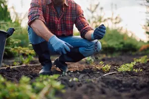garden-soil-closeup