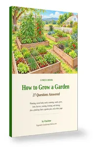 How to Grow a Garden free e-book: 27 questions answered, by Charlotte, with a watercolor raised bed vegetable garden on the cover