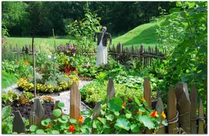 vegetable-garden-pretty8.jpg