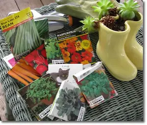 Vegetable Garden Seeds 2