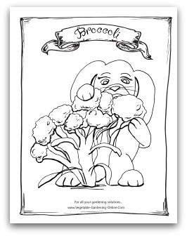 Packet Of Kids Questionsaries Coloring Pages 2