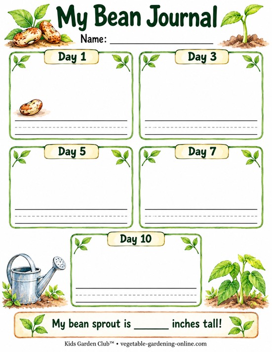 My Bean Journal free printable for kids in grades K-2: boxes to draw a bean seed sprouting on Day 1, 3, 5, 7, and 10