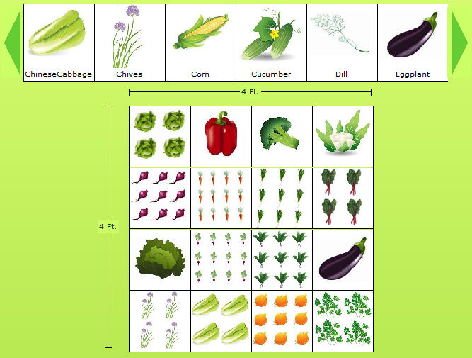 Planning A Vegetable Garden Layout For, How To Layout Your Garden