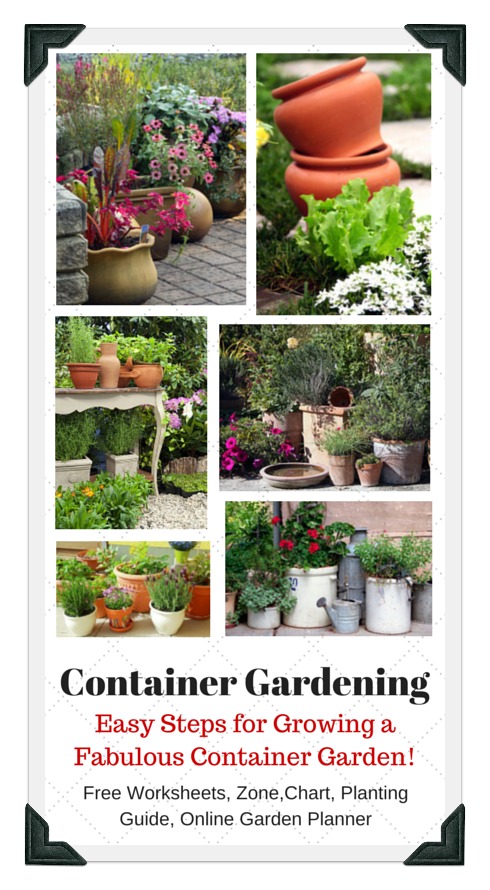 aa-container-gardening4.jpg aa-container-gardening4.jpg