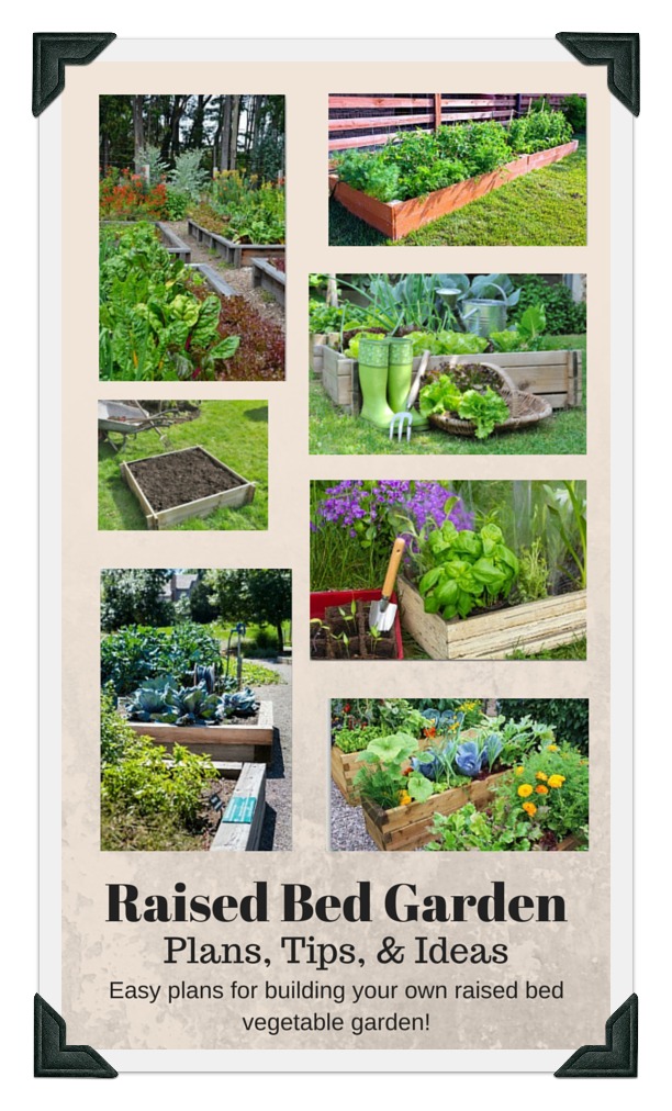 aa-raised-bed-ad.jpg aa-raised-bed-ad.jpg