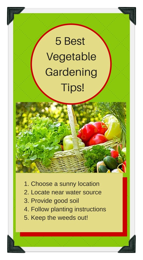 5 best tips for raised bed gardening success