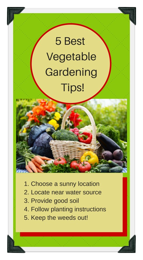 Five most important vegetable gardening tips for success