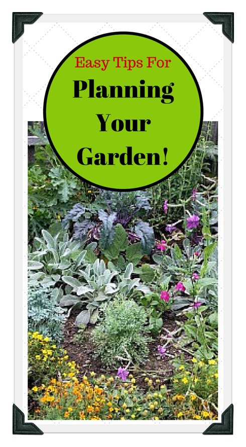 Vegetable Garden Pictures To Help Plan, Plan Your Garden