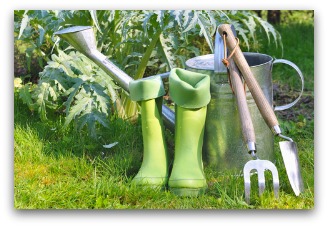 vegetable garden planting time