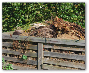 best-compost-bin-02