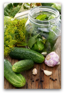 cucumbers, garlic, and dill for making homemade dill pickles