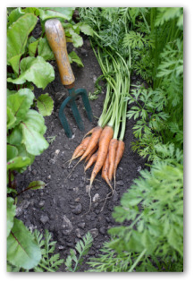 compost bin tumbler compost bin tumbler