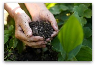 ingredients for organic fertilizer using compost