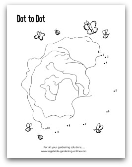 garden lettuce dot-to-dot printable