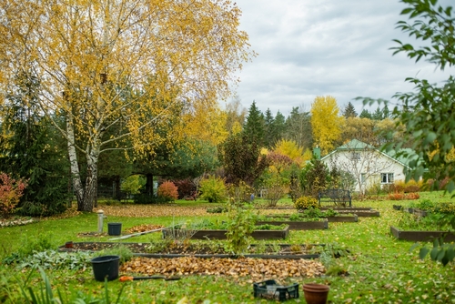 Fall Vegetable Garden