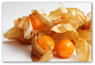 Ground Cherries Tomatillos Husk Tomatoes Ground Cherries