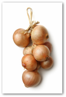 large onions hanging and drying