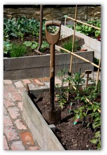 raised beds in a garden