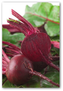 fresh cut  beets and leaves