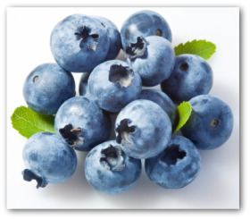 how to grow blueberries