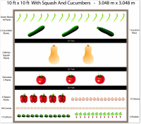 free ten by ten garden with squash and cucumbers