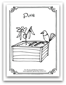 garden peas printable coloring page