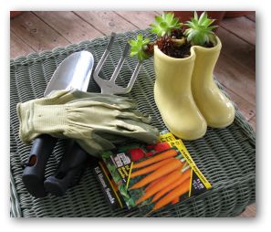 carrot seed packet, hand rake and trowel and gardening gloves