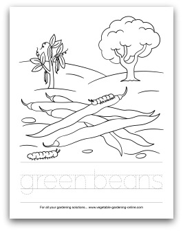 preschool art and learning activities