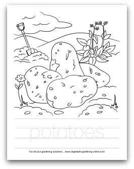 preschool art and learning activities