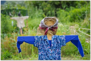 cute easy to build scarecrow idea