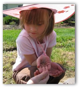 Getting Ready to Plant Seeds in the Garden