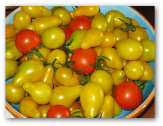 fresh ripe cherry and pear tomatoes